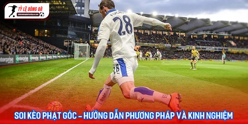 Hệ thống phân tích dữ liệu soi kèo phạt góc chuyên sâu tại Tỷ lệ bóng đá